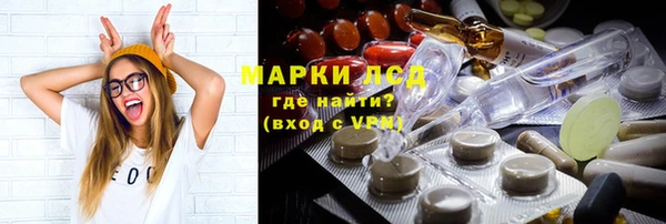 трава Белокуриха