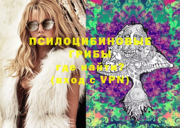 трава Белокуриха