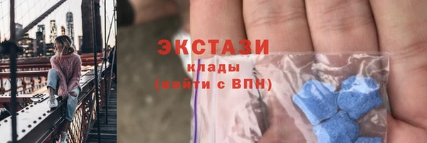 трава Белокуриха