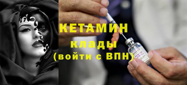 трава Белокуриха