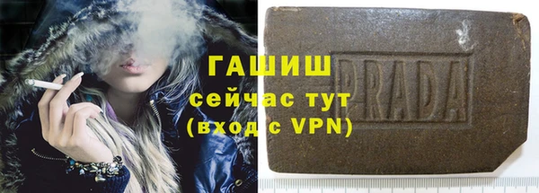трава Белокуриха